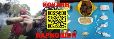 гашик Сланцы