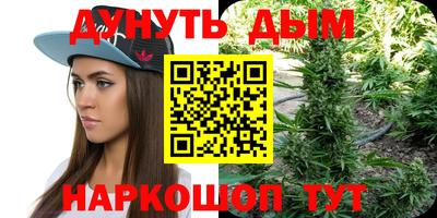 гашик Сланцы